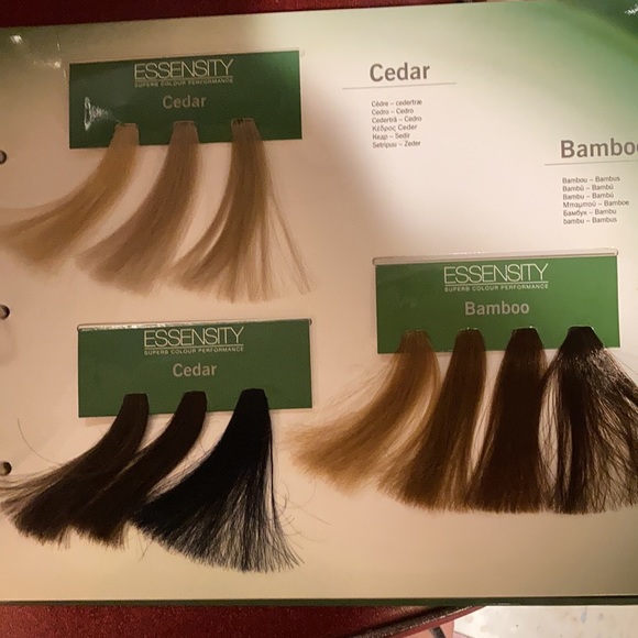 Schwarzkopf Other Schwarzkopf Essensity Hair Color Swatch Book